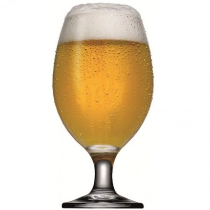 ЧАША БИСТРО БИРА 6ЦА   24 !, PASABAHCE